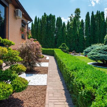 Backyard garden with nicely trimmed bonsai, bushes and stones in front of the European style villa, side view. Landscape design. High quality photo
